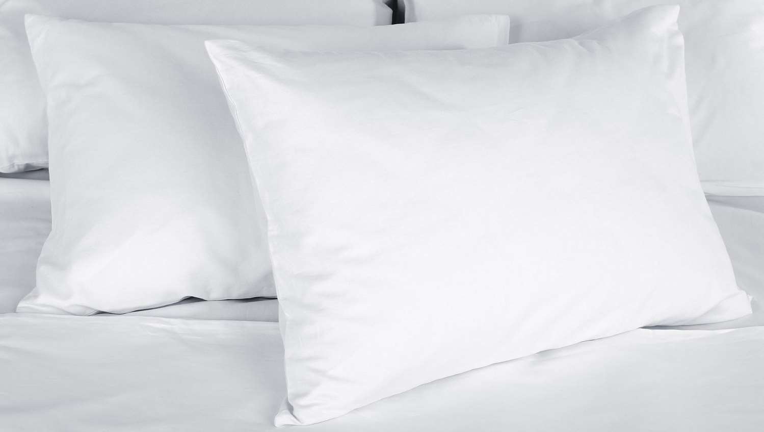 Magnuson Hotel Country Inn-官方