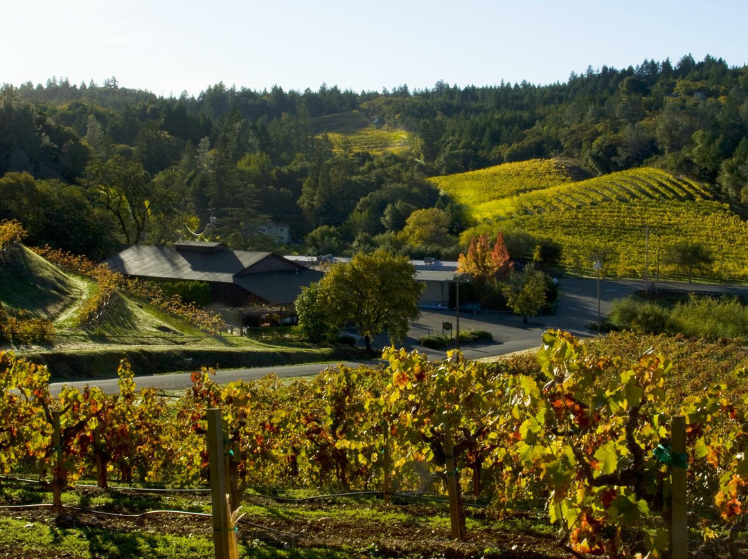 Pedroncelli Winery景点图片
