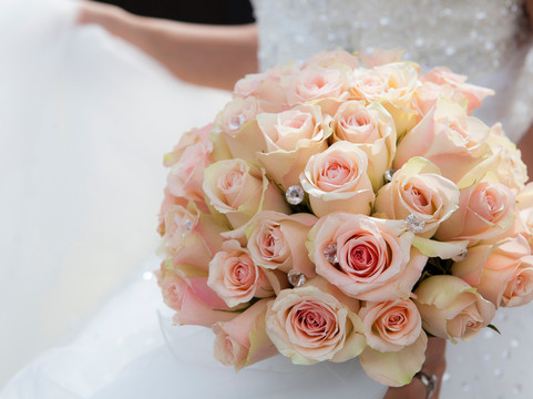 哥伦比亚东北-杰克逊堡洲际智选假日酒店主图