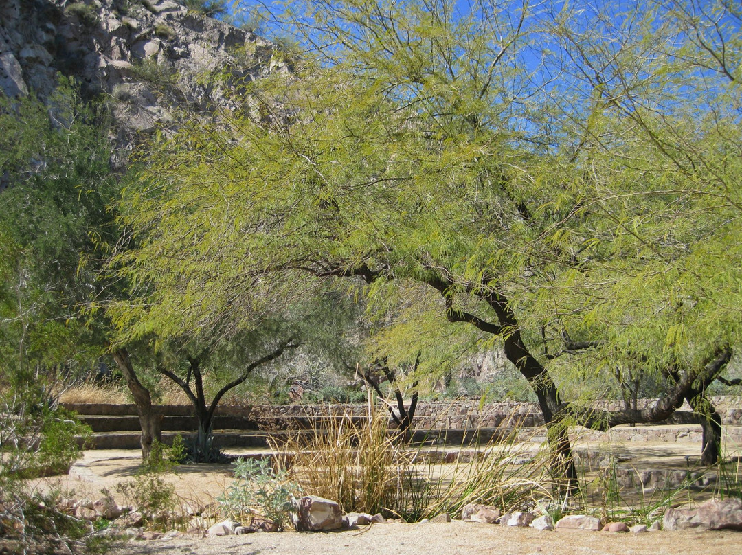 Desert Arboretum Park景点图片