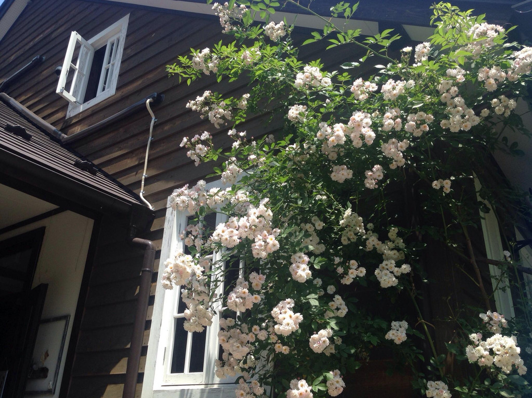 Coppice Garden-那须町必去景点