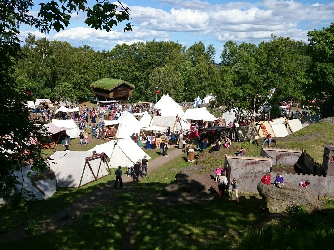 Tonsberg Medieval Festival景点图片