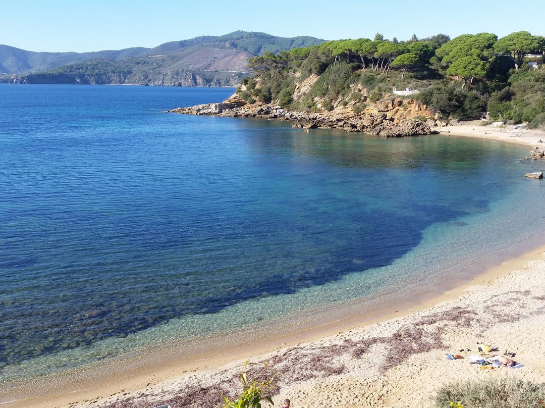 Spiaggia di Zuccale景点图片