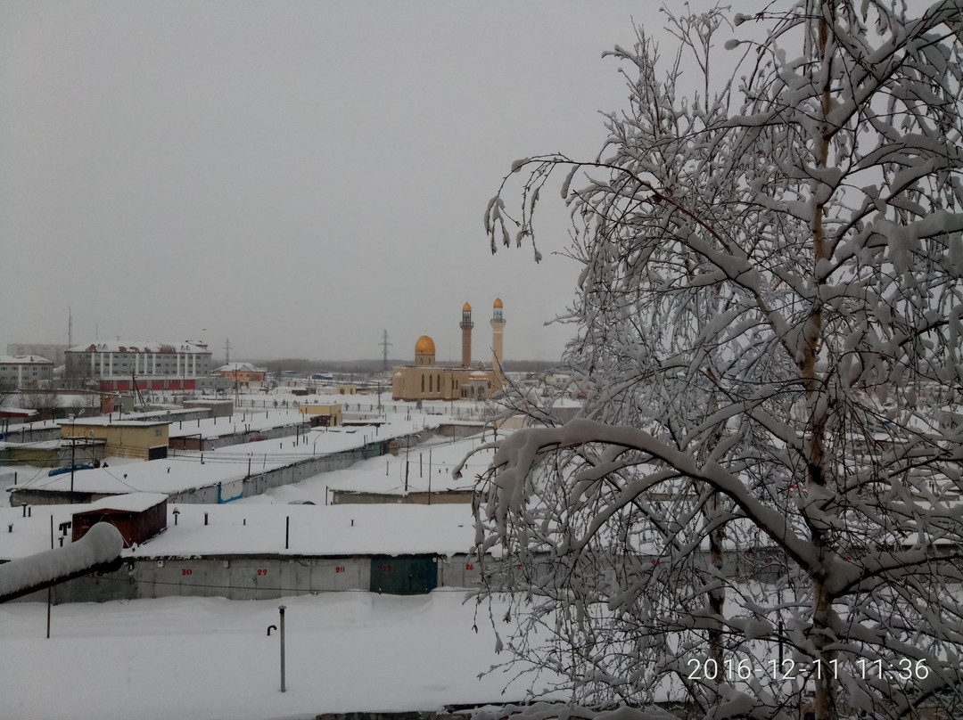 Nefteyugansk Mosque景点图片