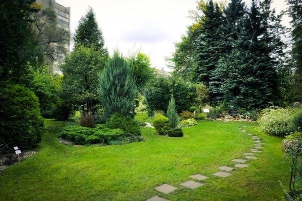 Botanical Garden of Tver State University景点图片