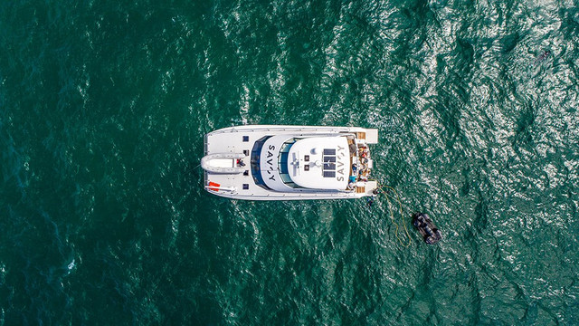 Savoy Charters-奥克兰中心地区必去景点