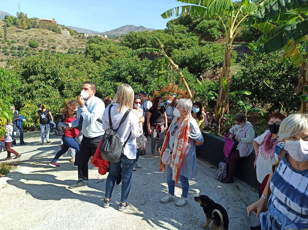 Finca El Pinero