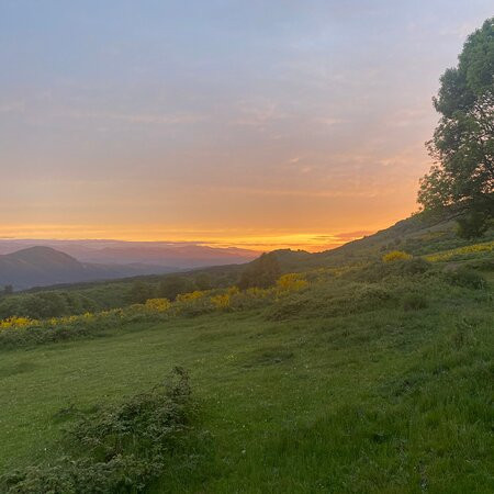 Domaine des Goudis主图