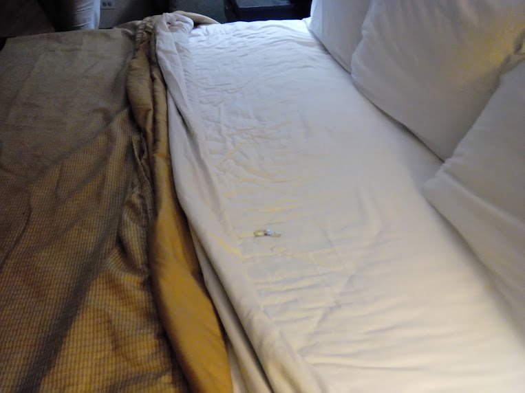 Red Roof Inn Gurnee - Waukegan-酒店景观