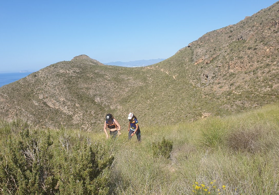 Cerro De Los Siete Cucones
