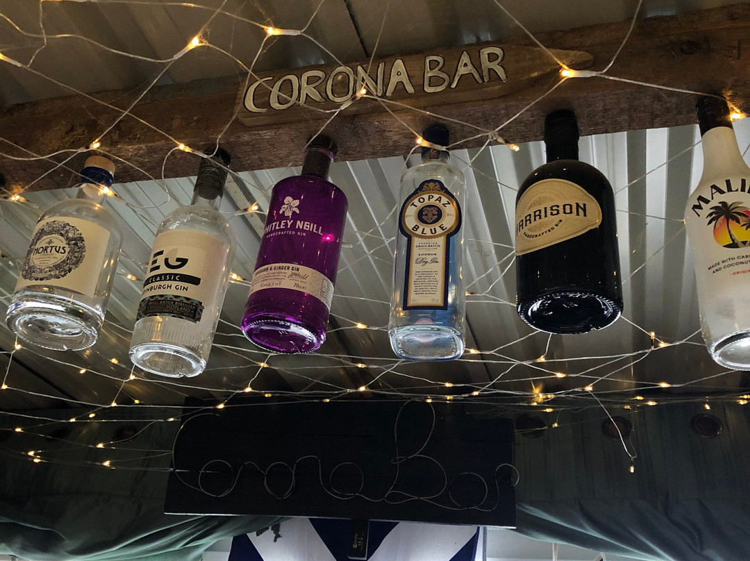 Corona Bar景点图片