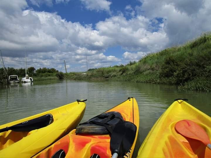 Kayak et Nature景点图片