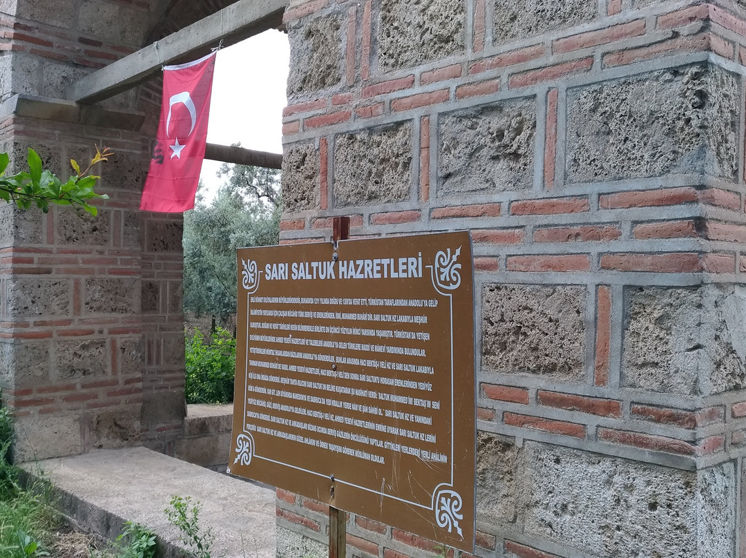Sarı Saltuk Turbesi景点图片