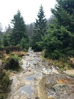 Harz National Park景点图片