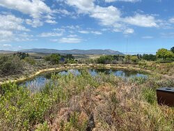 Arabella Golf Estate-赫曼努斯必去景点