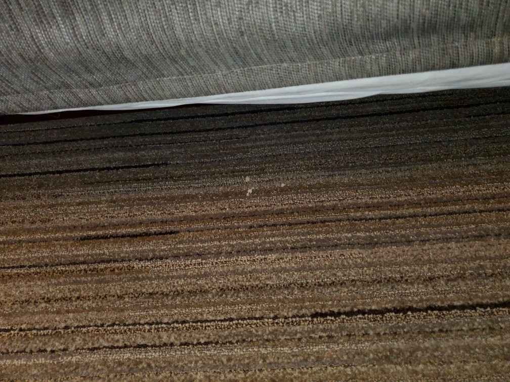 Holiday Inn Express & Suites Scottsburg by IHG主图