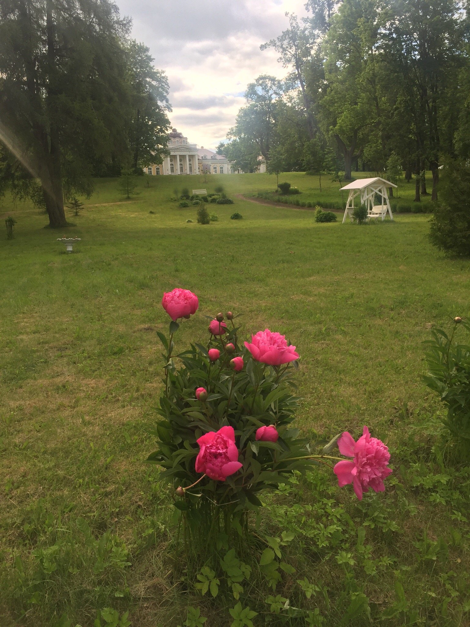 Palace Yelizavetino-官方
