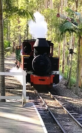 Timbertown Wauchope-Wauchope必去景点