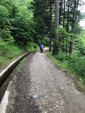 Col de la Forclaz-Trient必去景点