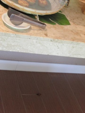 保罗精品酒店-餐饮