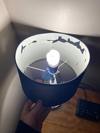 The Meadowbrook Hotel主图