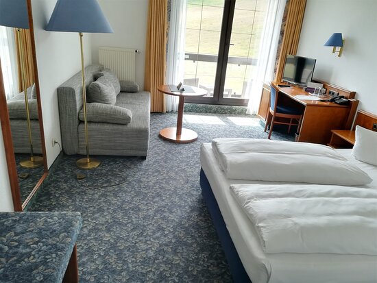 Alpina Lodge Hotel Oberwiesenthal-客卧