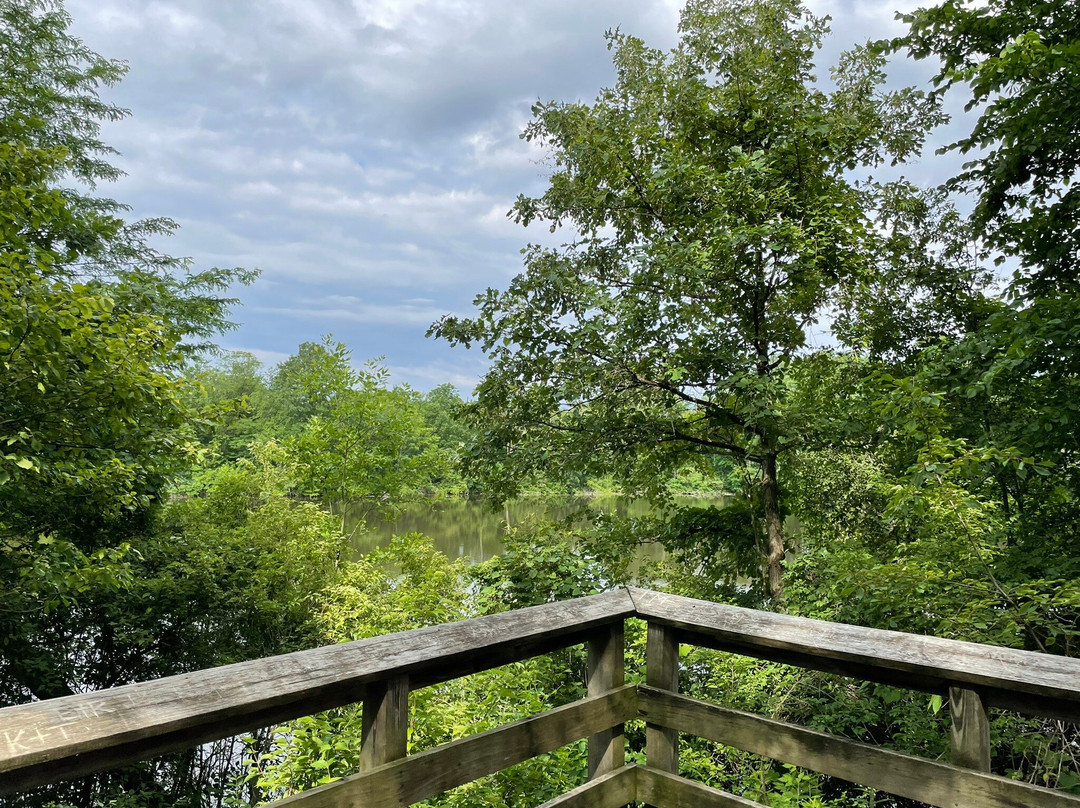 Oakwoods Nature Preserve