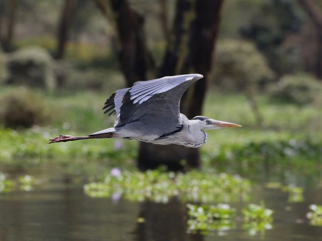 Taste Of Africa Adventures-Kimana必去景点