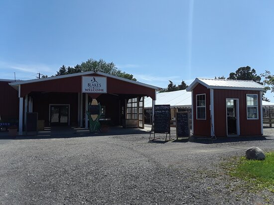 Blake's Orchard & Cider Mill-Armada必去景点