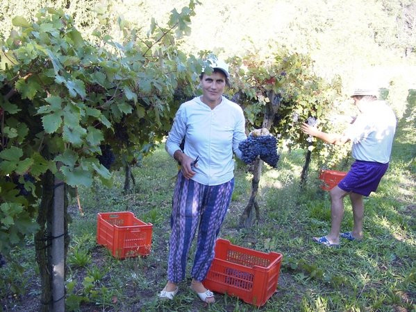 Agriturismo Bosco della Luja
