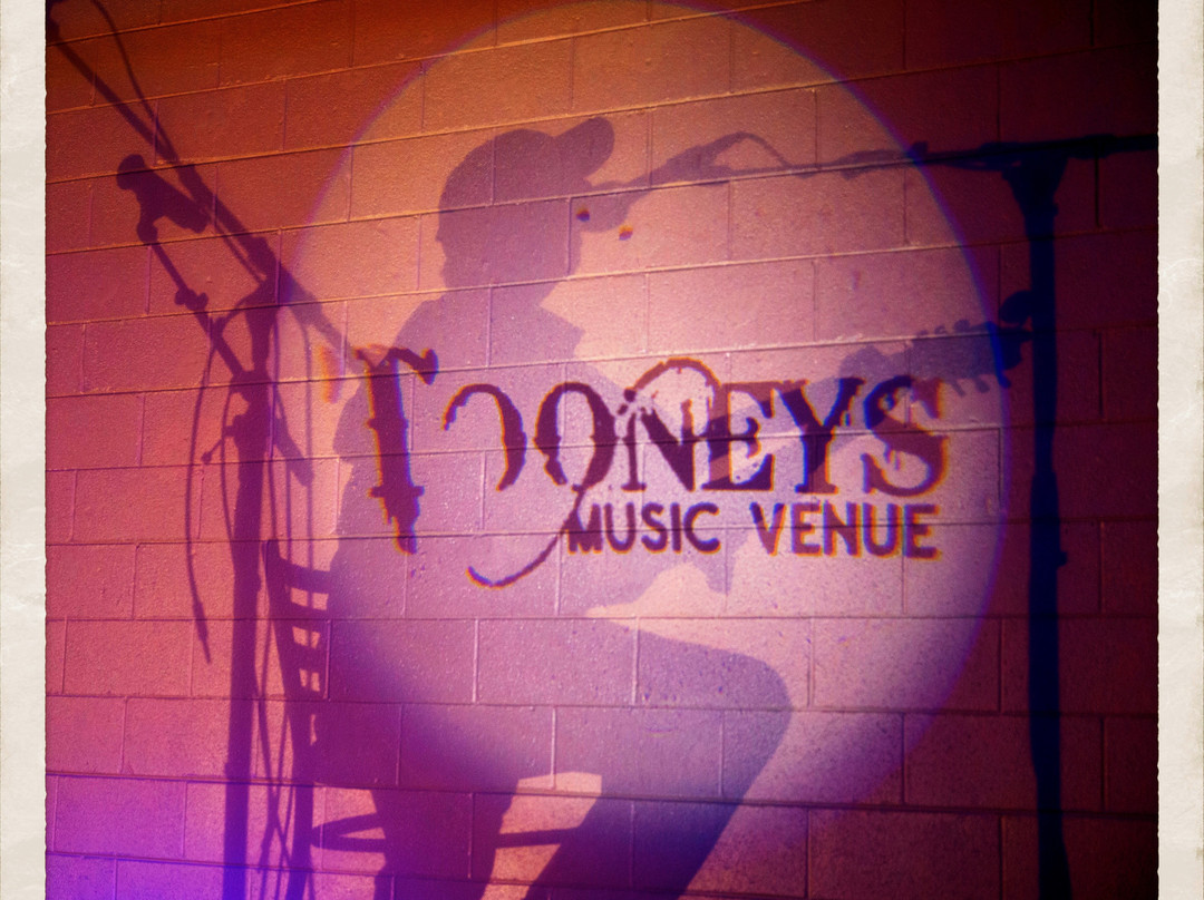 TOONEYS Music Venue景点图片