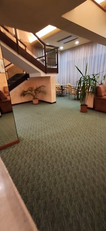 蓓妮蕾酒店主图