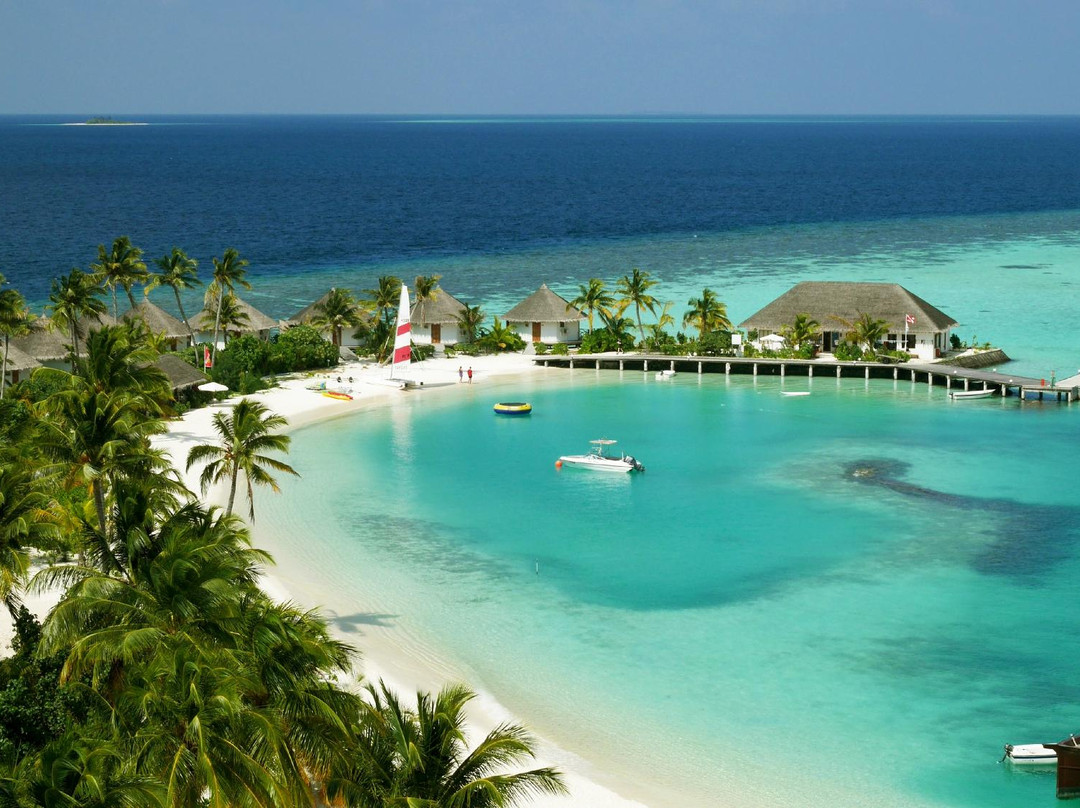 Joy Dive Maldives景点图片