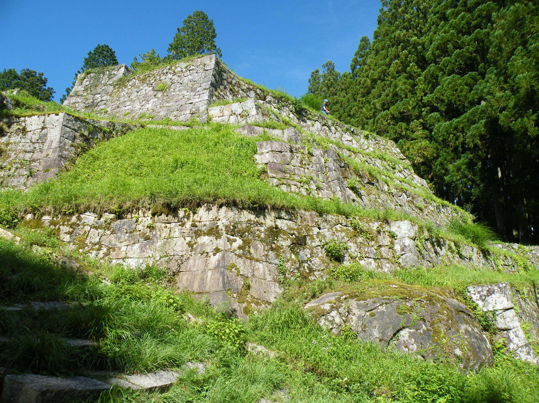 Iwamura Castle Ruins景点图片
