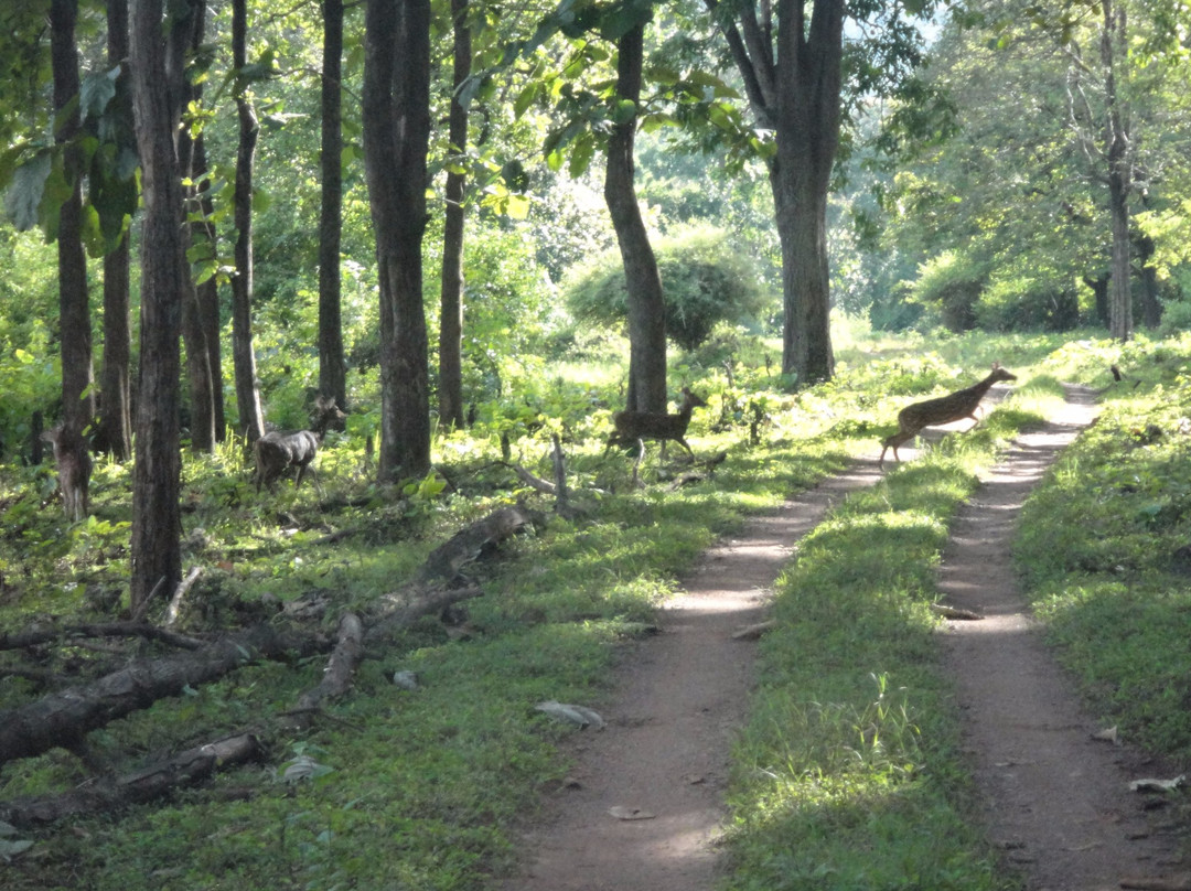 Muthodi Wildlife Sanctuary景点图片