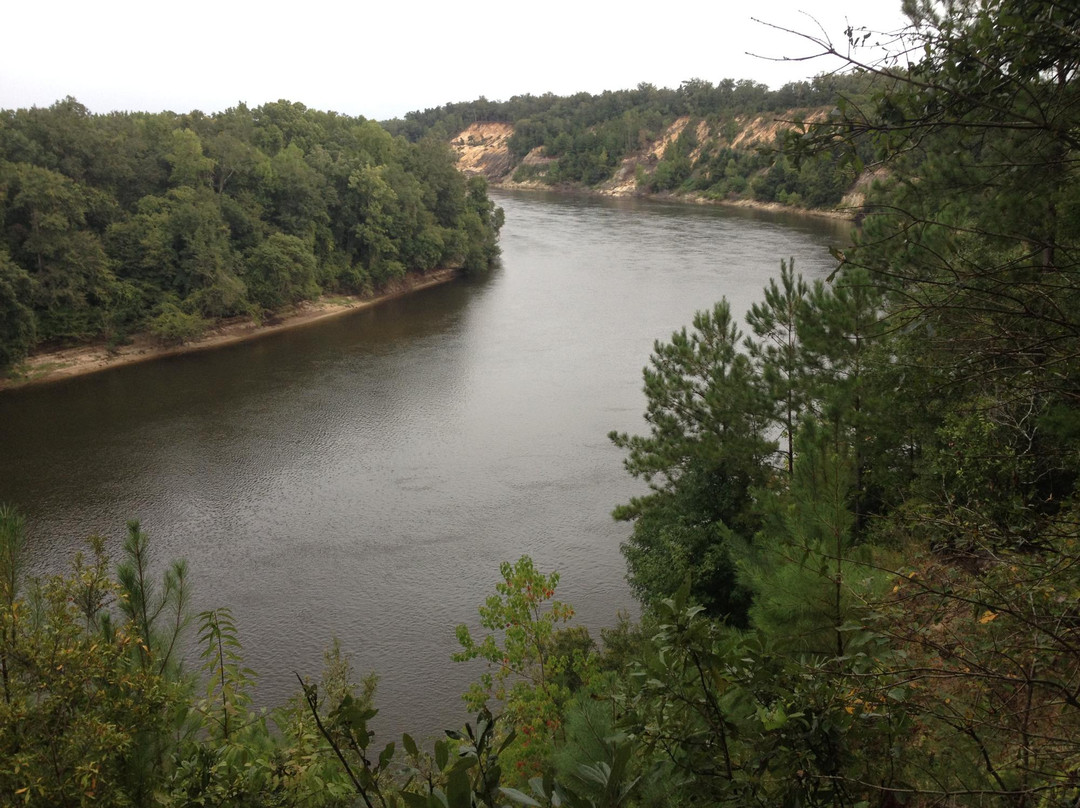 Apalachicola Bluffs and Ravines Preserve景点图片