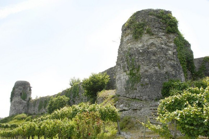 Château de Bellocq景点图片
