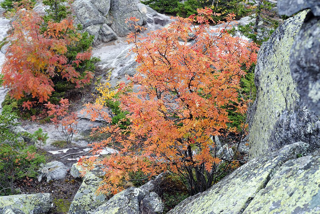Zlatoust旅游攻略图片