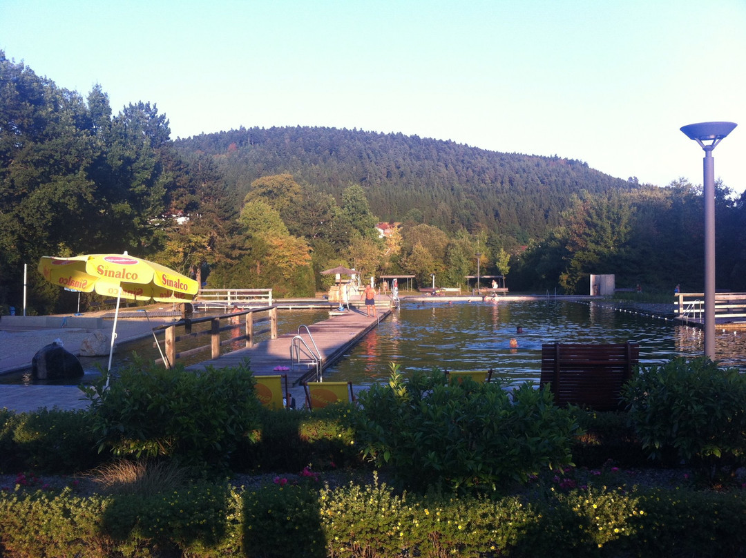 Marschalkenzimmern旅游攻略图片