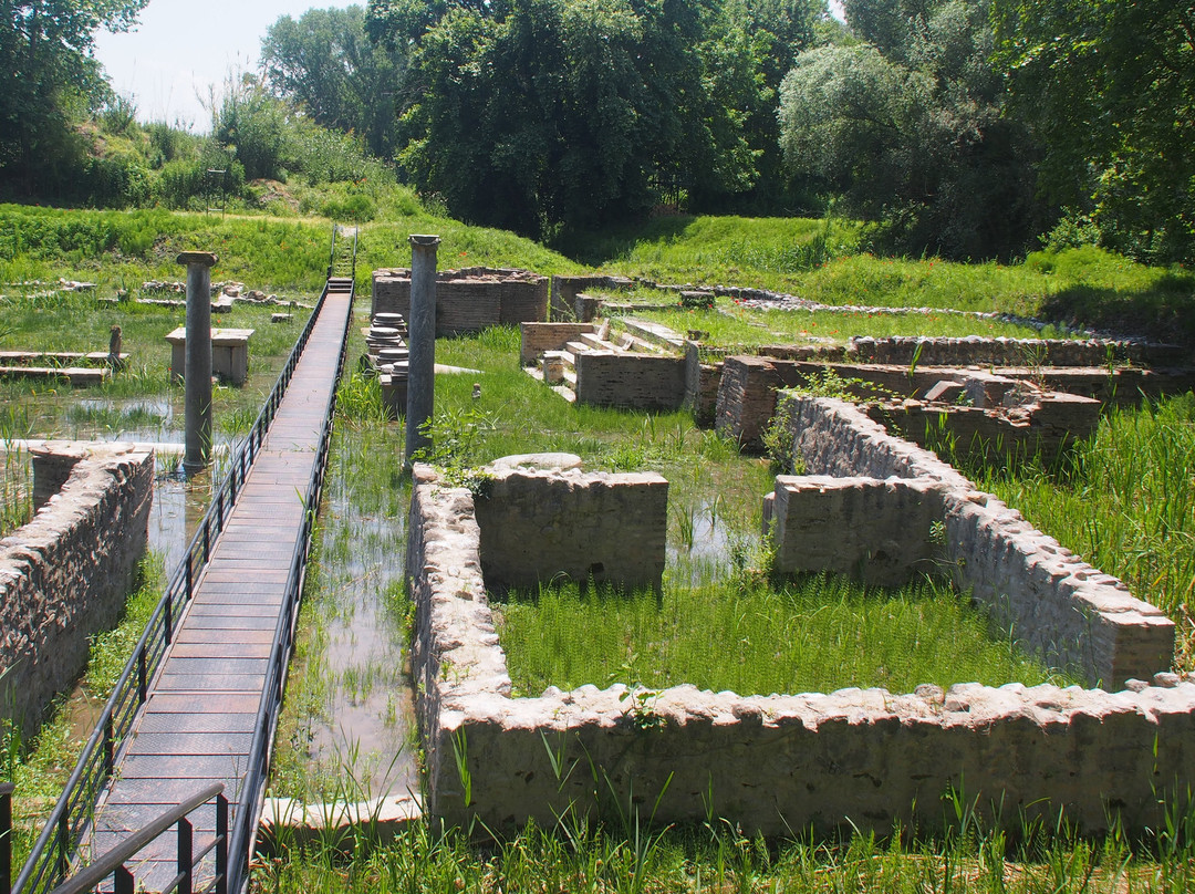 Dion旅游攻略图片