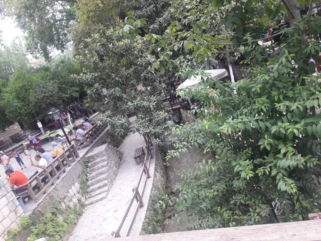 Hidirbey Musa Agaci景点图片
