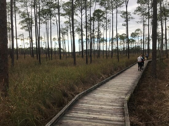 Big Branch Marsh National Wildlife Refuge景点图片