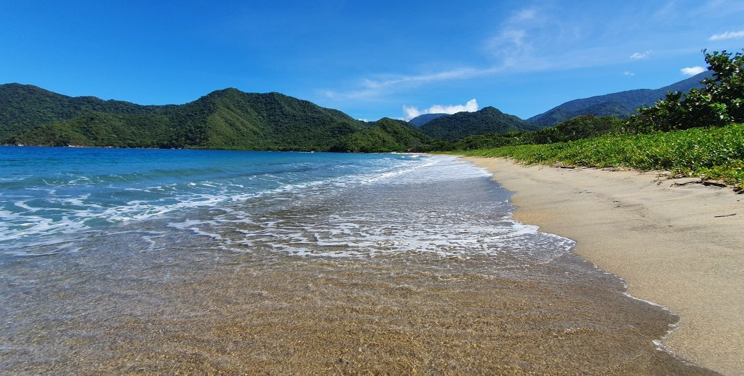 Playa Neguanje景点图片