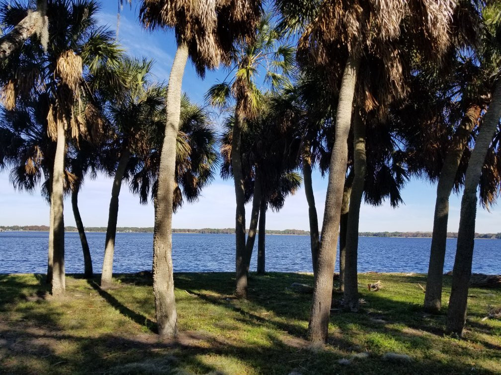 A. L. Anderson Park-塔彭斯普林斯必去景点