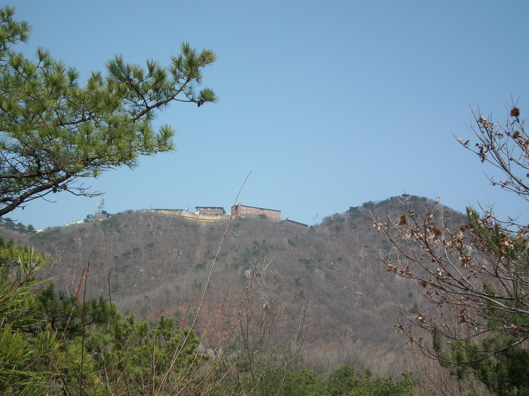 Surisan Land-军浦市必去景点