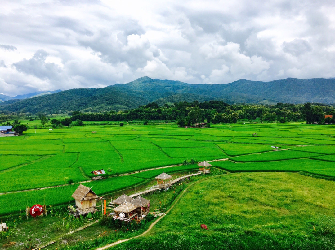 普阿旅游攻略图片