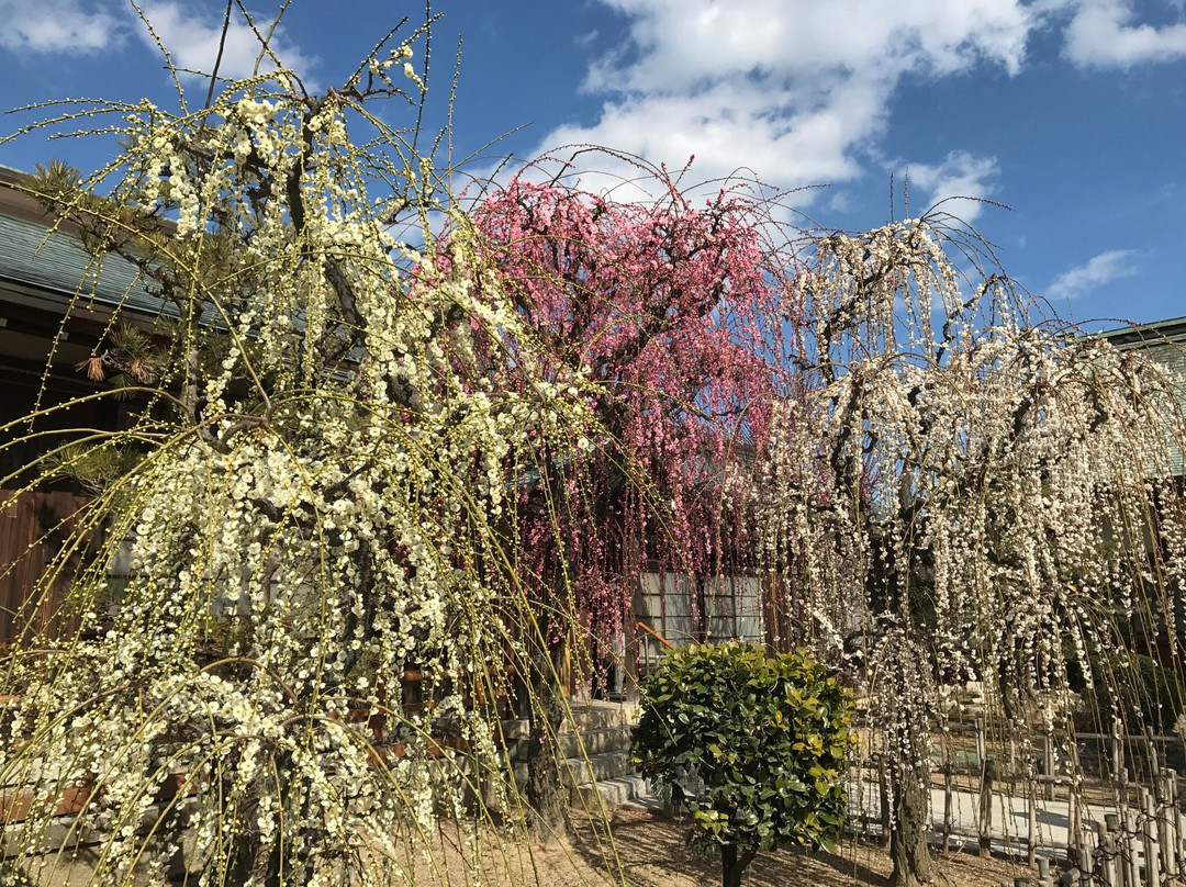 Yuki Shrine景点图片