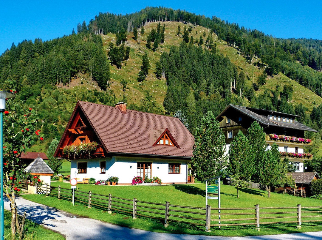Gasthof Pension Appartements Zur Gams主图