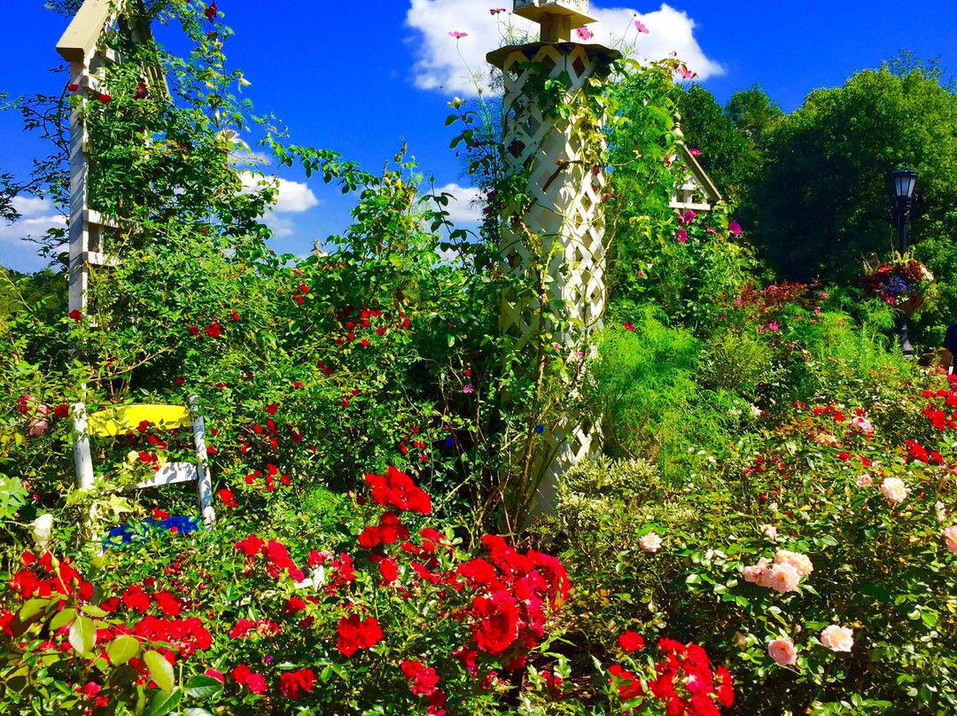 Lake Lure Flowering Bridge景点图片