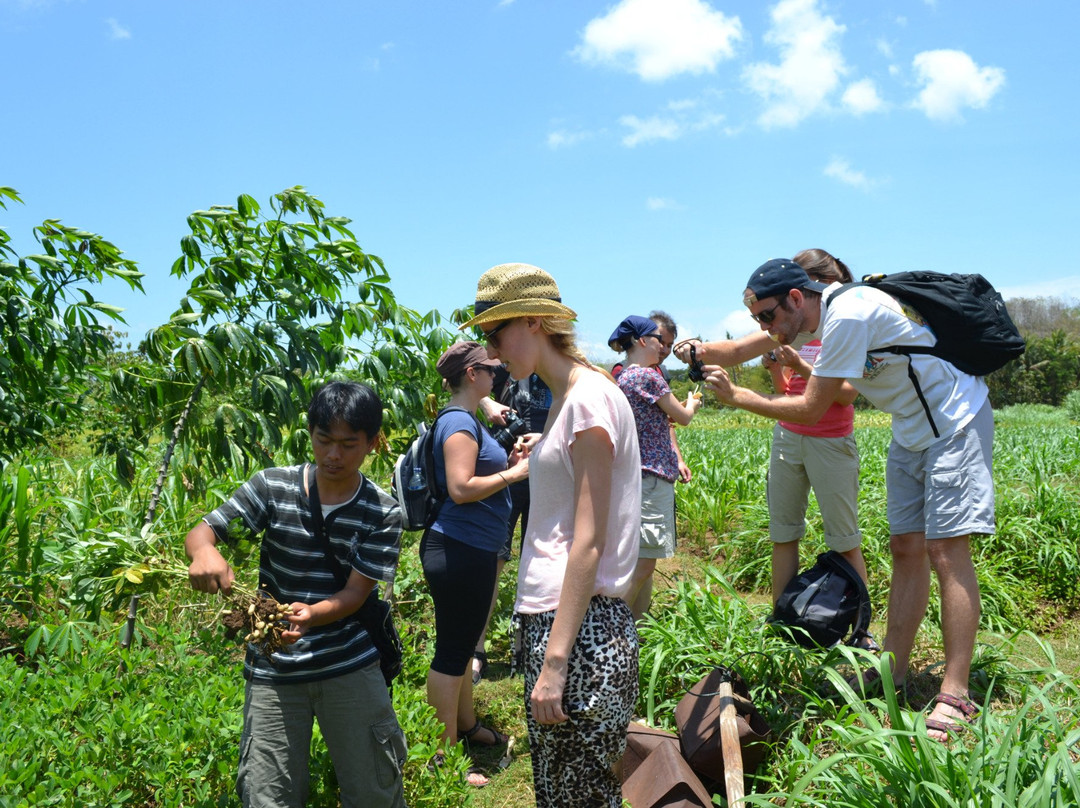 Yogyakarta Local Tours-日惹必去景点